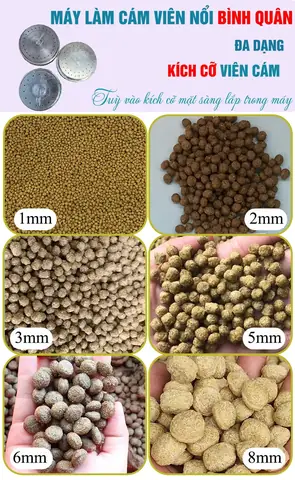 Máy ép cám viên tròn cho cá: Lợi ích và cách chọn mua hiệu quả Máy ép cám viên tròn cho cá: Lợi ích và cách chọn mua hiệu quả