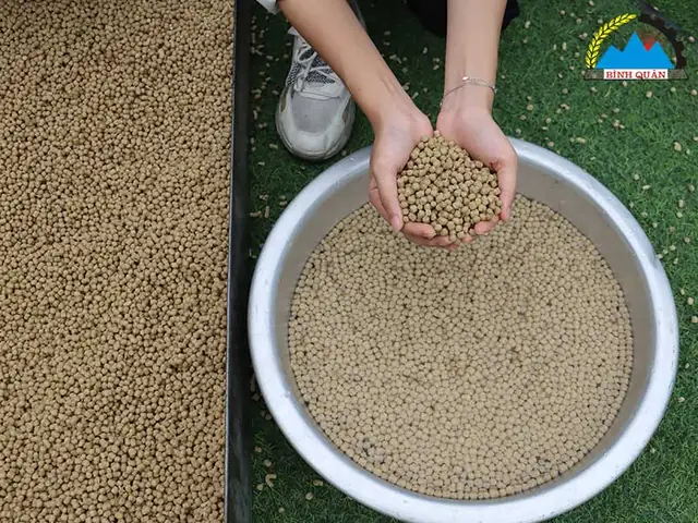 Hướng Dẫn Chi Tiết Về Máy Làm Cám Viên Nổi Cho Cá