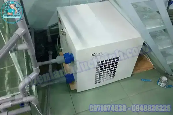 Máy Làm Mát Nước Hồ Cá: Hướng Dẫn Lựa Chọn & Sử Dụng
