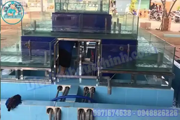 Máy Làm Mát Nước Hồ Cá: Hướng Dẫn Lựa Chọn & Sử Dụng