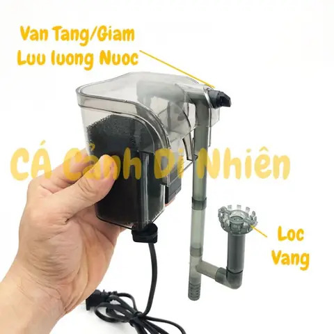 Hướng Dẫn Toàn Diện Về Máy Lọc Cá Cảnh Hiệu Quả Cho Bể Của Bạn