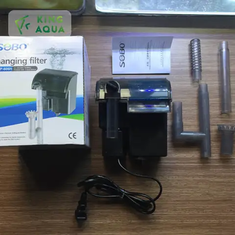 Hướng Dẫn Toàn Diện Về Máy Lọc Cá Cảnh Hiệu Quả Cho Bể Của Bạn Hướng Dẫn Toàn Diện Về Máy Lọc Cá Cảnh Hiệu Quả Cho Bể Của Bạn