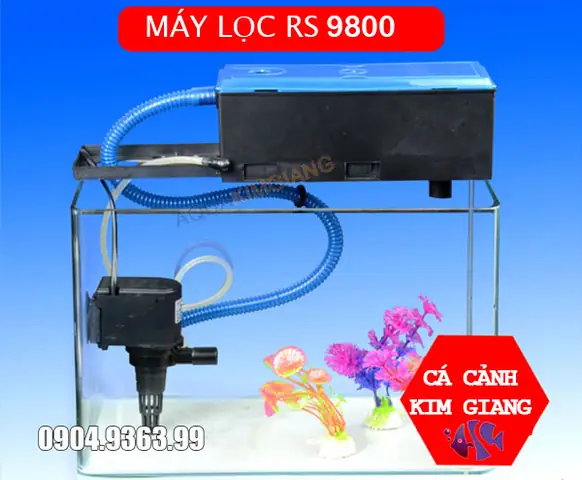 Máy Lọc Máng Bể Cá Là Gì? Lợi Ích & Cách Chọn Hiệu Quả