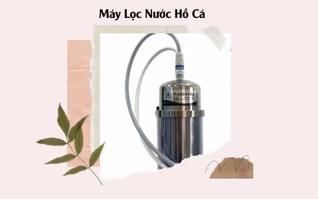Cách chọn máy lọc nước hồ cá công suất lớn tối ưu