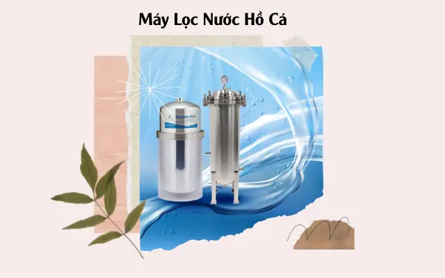 Cách chọn máy lọc nước hồ cá công suất lớn tối ưu