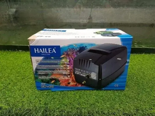 máy oxy hồ cá