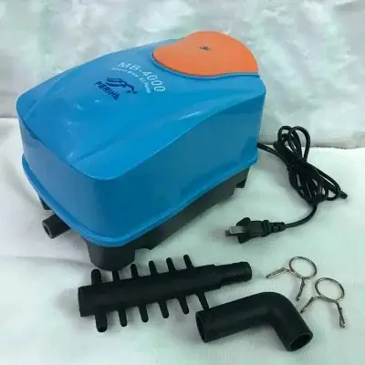 máy oxy hồ cá