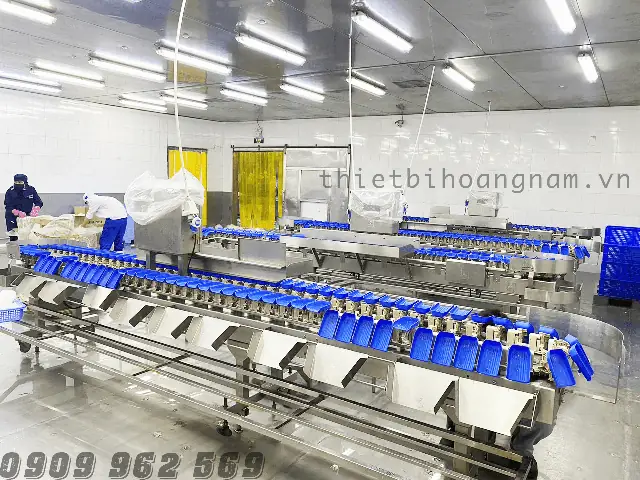 Máy Phân Cỡ Cá: Giải Pháp Toàn Diện Cho Ngành Nuôi Trồng Thủy Sản