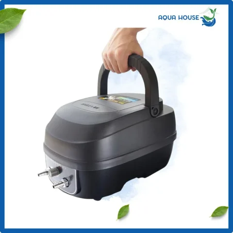 máy sục bể cá
