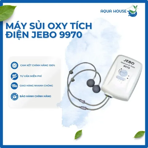máy sục bể cá máy sục bể cá