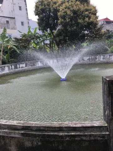 Máy Sục Khí Ao Cá: Hướng Dẫn Toàn Diện Để Tối Ưu Ao Nuôi