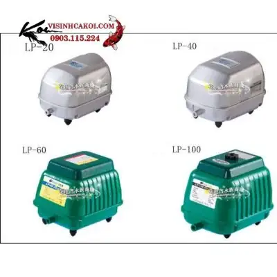 máy sủi oxy cho cá