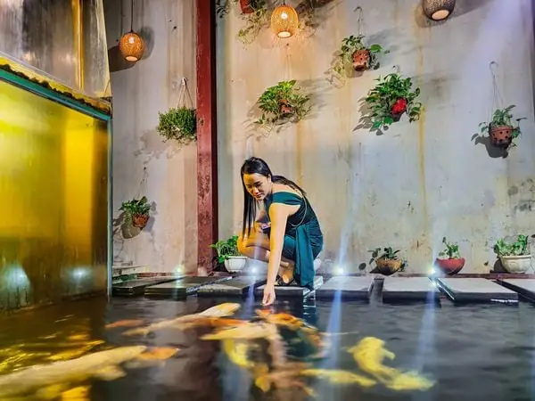 Hướng Dẫn Chi Tiết Về Máy Sủi Oxy Hồ Cá Koi: Chọn Lựa Và Sử Dụng Hiệu Quả