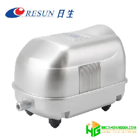 Máy Sủi Oxy Hồ Cá Lớn: Hướng Dẫn Chọn và Sử Dụng Toàn Diện