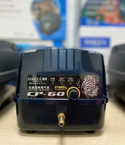 Hướng dẫn toàn diện về máy sủi tích điện cho bể cá