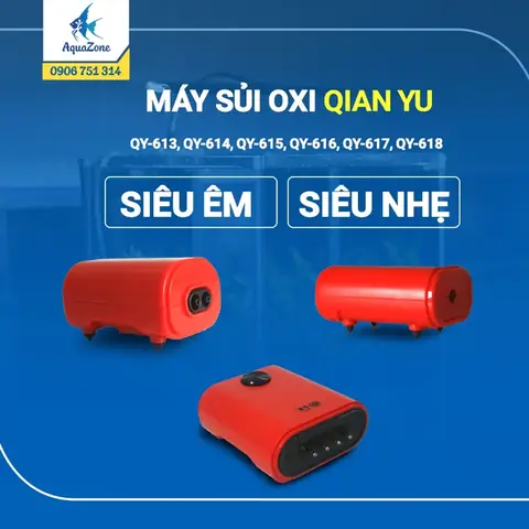 Máy Tạo Bọt Khí Bể Cá: Hướng Dẫn Chi Tiết Để Cá Luôn Khỏe Mạnh