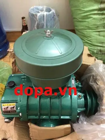 Máy Tạo Oxy Nuôi Cá: Hướng Dẫn Toàn Diện Từ Lựa Chọn Đến Vận Hành
