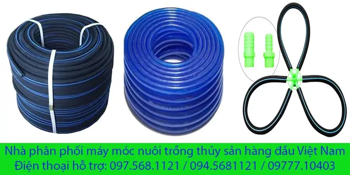 Máy Thổi Oxy Hồ Cá: Hướng Dẫn Chi Tiết Để Hồ Cá Khỏe Mạnh