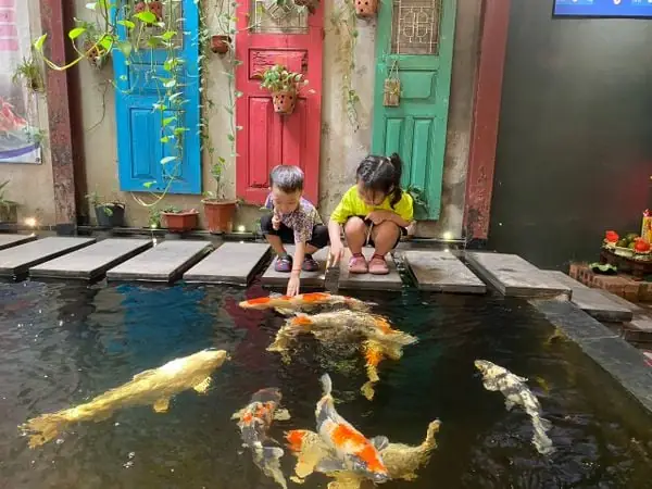 Máy Vệ Sinh Hồ Cá: Hướng dẫn chọn mua và sử dụng hiệu quả