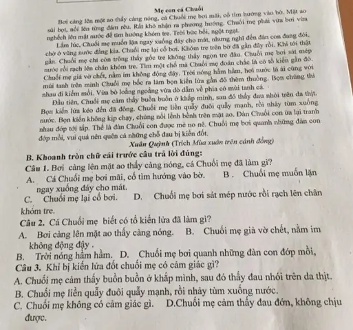Hành Trình Sinh Tồn: Bản Năng Chăm Sóc Của Mẹ Con Cá Chuối