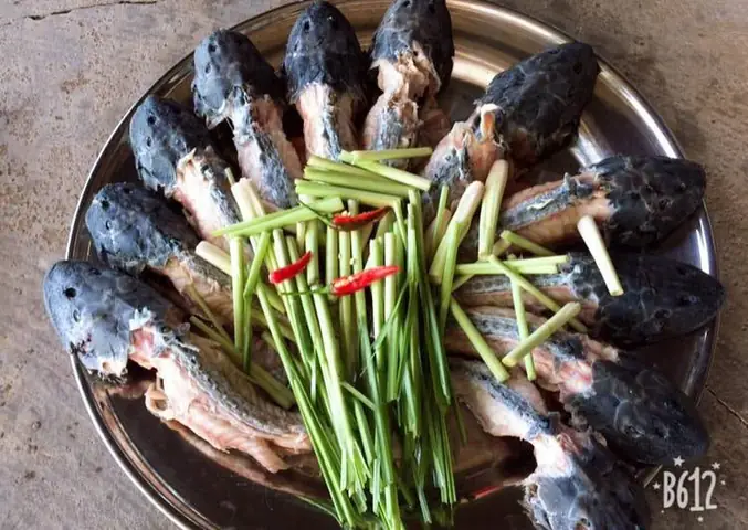 Món cá lau kiếng lạ miệng ở miền Tây - Ảnh 2. Món cá lau kiếng lạ miệng ở miền Tây - Ảnh 2.
