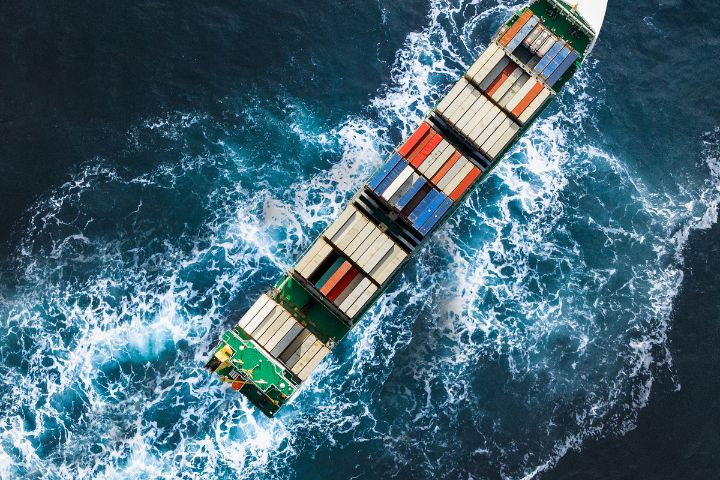 Minh họa quy trình vận chuyển cá cảnh quốc tế bằng đường biển