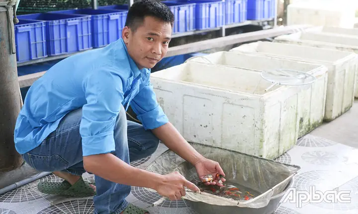 Các Mô Hình Bể Cá Cảnh Phổ Biến và Hướng Dẫn Thiết Lập Chi Tiết