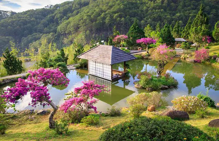 4. Top những quán cafe cá Koi đẹp nhất tại Việt Nam
