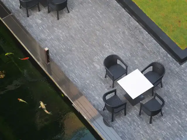 Quán cafe cá Koi – Mô hình độc đáo được nhiều người đón nhận