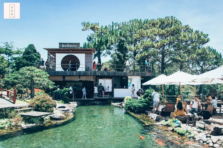 4. Top những quán cafe cá Koi đẹp nhất tại Việt Nam