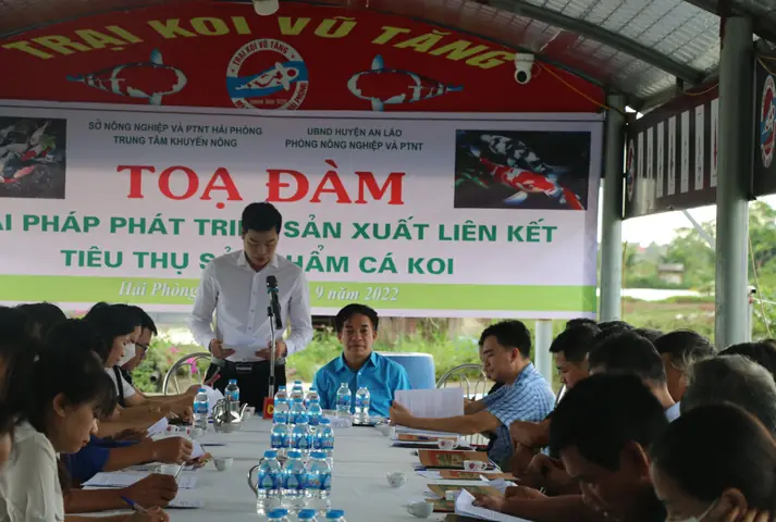 Hướng dẫn Chi tiết Về Các Mô Hình Nuôi Cá Koi Hiệu Quả