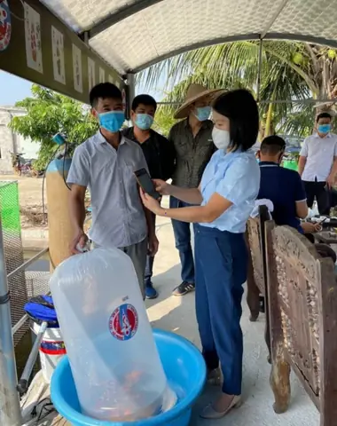 Hướng Dẫn Xây Dựng Mô Hình Nuôi Cá Koi Hiệu Quả