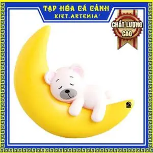 Hướng Dẫn Chọn Mô Hình Trang Trí Bể Cá Đẹp Và An Toàn