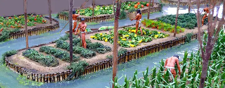 Hướng dẫn xây dựng mô hình trồng rau nuôi cá Aquaponics hiệu quả