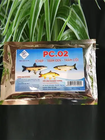 Hướng Dẫn Chọn Mồi Câu Cá Ao Hiệu Quả Từ A Đến Z Hướng Dẫn Chọn Mồi Câu Cá Ao Hiệu Quả Từ A Đến Z
