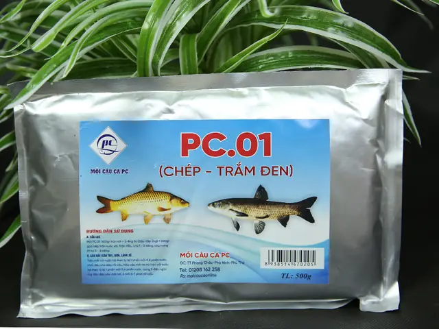 Hướng Dẫn Chọn Mồi Câu Cá Ao Hiệu Quả Từ A Đến Z Hướng Dẫn Chọn Mồi Câu Cá Ao Hiệu Quả Từ A Đến Z