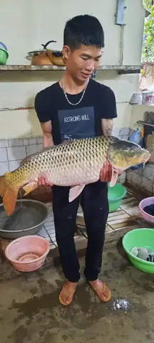 Hướng Dẫn Chi Tiết Cách Pha Mồi Câu Cá Chép Lão Quỷ Hiệu Quả Hướng Dẫn Chi Tiết Cách Pha Mồi Câu Cá Chép Lão Quỷ Hiệu Quả
