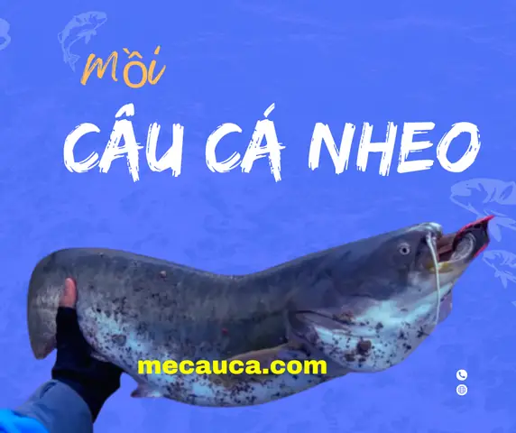 Hướng Dẫn Chi Tiết Làm Mồi Câu Cá Nheo Sông Hiệu Quả