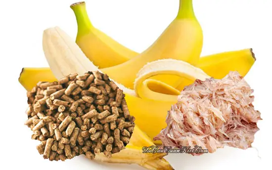 Công Thức Mồi Câu Cá Tra Hiệu Quả Cho Mọi Điều Kiện