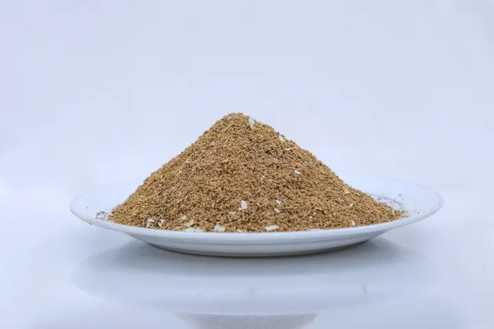 Hướng Dẫn Chọn Và Làm Mồi Câu Tổng Hợp Các Loại Cá