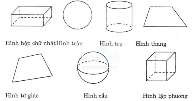 Hướng Dẫn Tính Thể Tích Bể Cá Dạng Hình Hộp Chữ Nhật Có