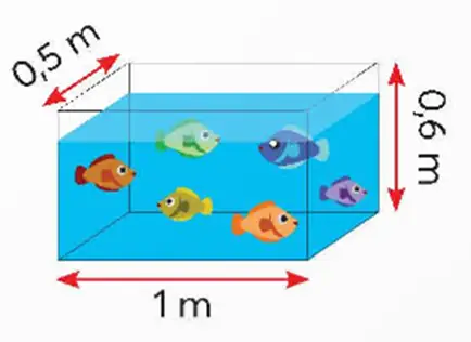 Bể Nuôi Cá Hình Hộp Chữ Nhật: Hướng Dẫn Chi Tiết Từ A Đến Z