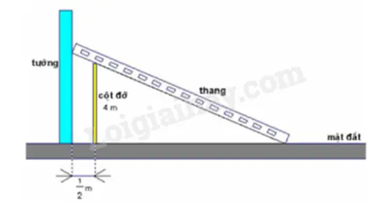 một con cá hồi bơi ngược dòng