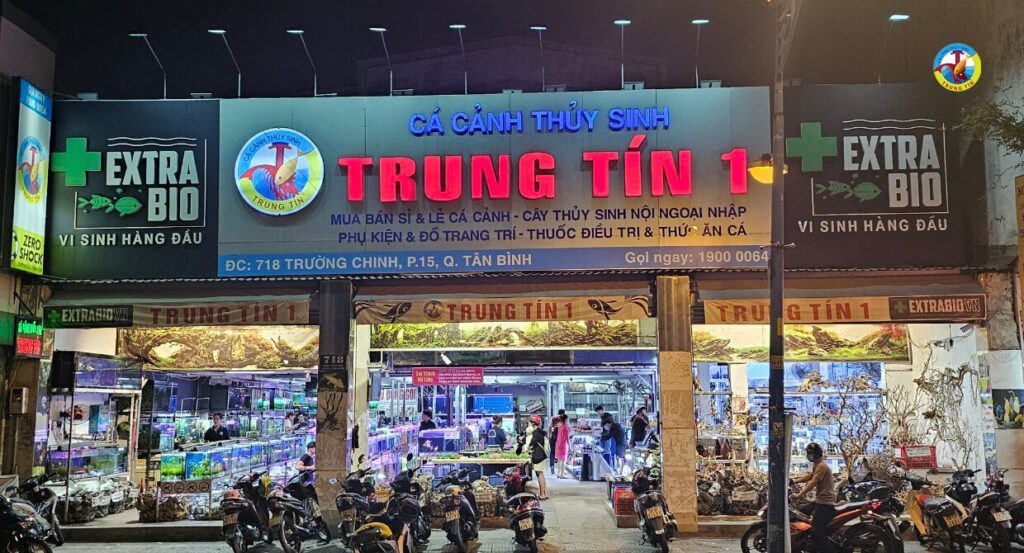 Một góc chậu cá cảnh thuỷ sinh được bố trí hài hòa, mang lại vẻ đẹp tự nhiên cho ngôi nhà.