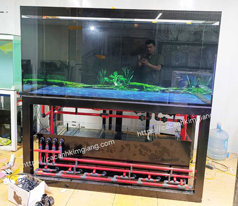 Một mẫu bể cá cảnh công nghệ mới kích thước lớn 2m