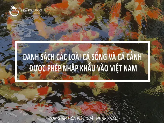 Khám Phá Thế Giới Đa Dạng Của Một Số Loài Cá Cảnh Phổ Biến