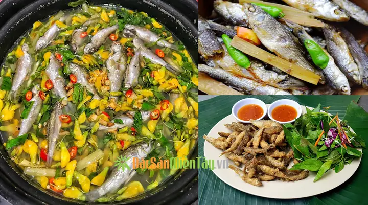 Khám Phá Mùa Cá Linh Đồng Tháp: Đặc Trưng Và Giá Trị Văn Hóa Ẩm Thực