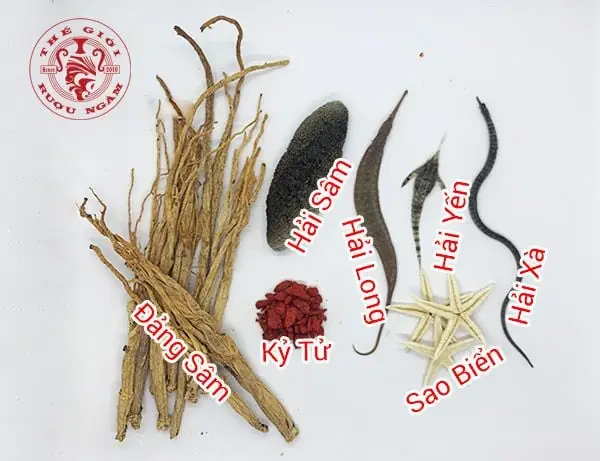 Mua Cá Ngựa Ở Đâu Đảm Bảo Chất Lượng: Hướng Dẫn Toàn Diện