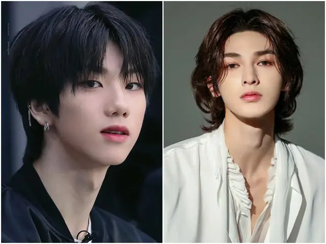 Cá Mullet: Khám phá loài cá đặc biệt và giá trị