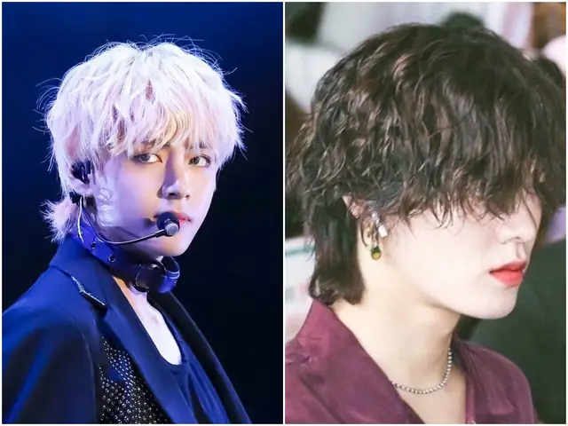 Cá Mullet: Khám phá loài cá đặc biệt và giá trị